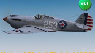 Screenshot 1 — P-40C V1.1 Weathered Natural Metal