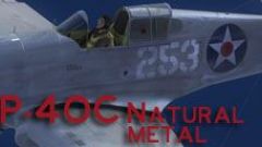 Screenshot 2 — P-40C V1.1 Weathered Natural Metal