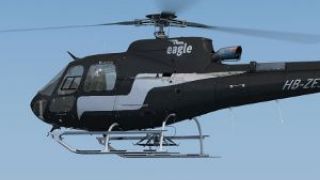 Screenshot 2 — Eagle Helicopter Aerospatiale AS350