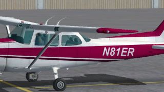 Screenshot 5 — Cessna 172 Skyhawk N81ER