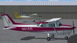 Screenshot 4 — Cessna 172 Skyhawk N81ER