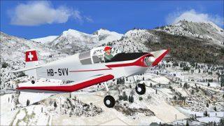 Screenshot 2 — Jodel D112 HB-SVV