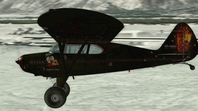 Screenshot 1 — Piper Pacer PA20 Bush N3615G