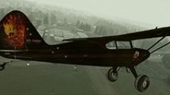 Screenshot 6 — Piper Pacer PA20 Bush N3615G