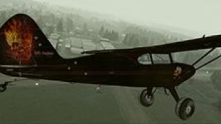 Screenshot 6 — Piper Pacer PA20 Bush N3615G
