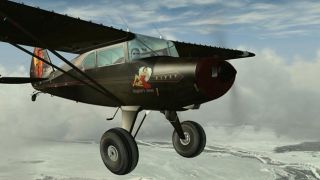 Screenshot 4 — Piper Pacer PA20 Bush N3615G