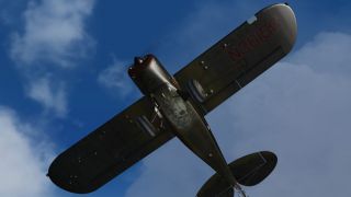 Screenshot 5 — Piper Pacer PA20 Bush N3615G
