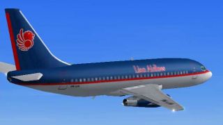Screenshot 5 — Lion Airlines Boeing 737-200