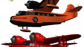 Screenshot 1 — Grumman Goose