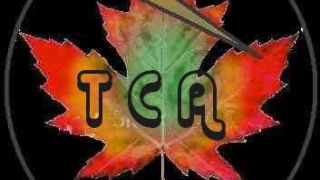 Screenshot 11 — 'Postcard From Canada' Electra CF-TCC