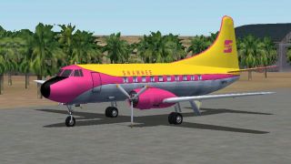 Screenshot 3 — Shawnee Martin 404 Repaint Package