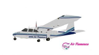 Screenshot 2 — Air Flamenco BN-2 Islander