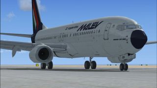 Screenshot 1 — Malev Boeing 737-800 HA-LOU