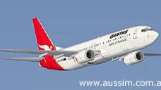 Screenshot 5 — QANTAS Boeing 737-800 Repaint