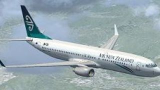 Screenshot 1 — Air New Zealand Boeing 737-800 Textures
