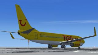 Screenshot 1 — MX Designers Boeing 737-800