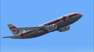 Screenshot 1 — Martinair Holland Airbus A310-203 PH-MCA