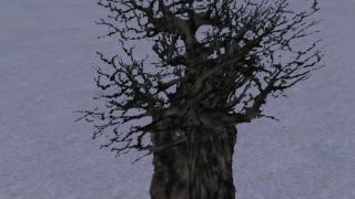 Screenshot 40 — Default Autogen Models
