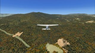 Screenshot 5 — 'GenReloaded' Photoreal Trees V1