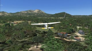 Screenshot 8 — 'GenReloaded' Photoreal Trees V1