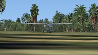 Screenshot 11 — 'GenReloaded' Photoreal Trees V1