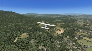 Screenshot 7 — 'GenReloaded' Photoreal Trees V1