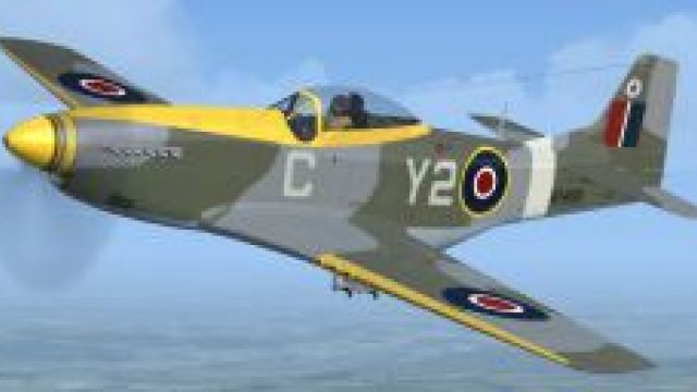 Screenshot 1 — RAF, RCAF, SAAF P-51D Mustangs