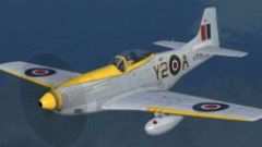 Screenshot 4 — RAF, RCAF, SAAF P-51D Mustangs