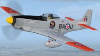 Screenshot 2 — RAF, RCAF, SAAF P-51D Mustangs
