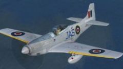 Screenshot 5 — RAF, RCAF, SAAF P-51D Mustangs