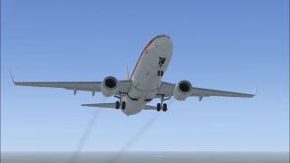 Screenshot 2 — Boeing 737-800 Engine Smoke