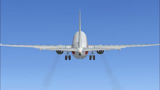 Screenshot 4 — Boeing 737-800 Engine Smoke