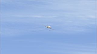 Screenshot 3 — Airbus A300B Engine Smoke Effects