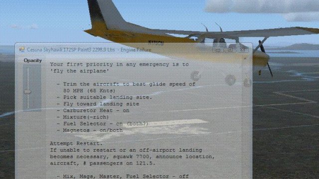 Screenshot 1 — In Flight Emergencies Demo