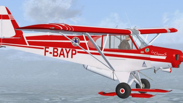 Screenshot 1 — Mont Blanc Piper Super Cub Final Version