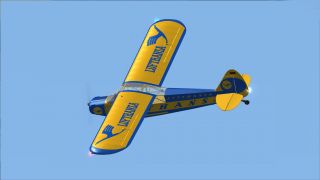 Screenshot 3 — Piper Super Cub L-18 D-EEQW