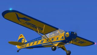 Screenshot 4 — Piper Super Cub L-18 D-EEQW
