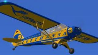 Screenshot 5 — Piper Super Cub L-18 D-EEQW