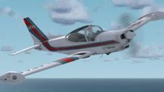 Screenshot 7 — 11 Pack Texture Set For RealAir SF-260