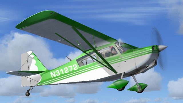 Screenshot 1 — Green Citabria N31272