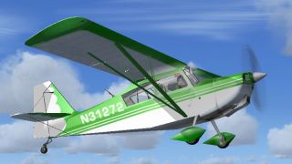 Screenshot 1 — Green Citabria N31272