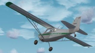 Screenshot 37 — 13 Pack Texture Set For RealAir Scout