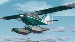 Screenshot 27 — 13 Pack Texture Set For RealAir Scout
