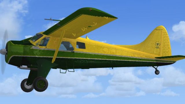 Screenshot 1 — DeHavilland Beaver N28S