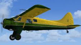 Screenshot 2 — DeHavilland Beaver N28S