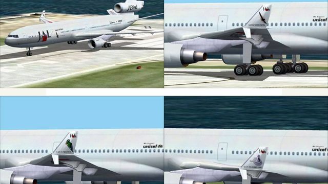 Screenshot 1 — Japan Airlines (JAL) J-Bird McDonnell-Douglas/Boeing MD-11