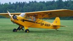Screenshot 3 — Piper J-3 Cub SP-AWP