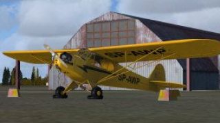 Screenshot 2 — Piper J-3 Cub SP-AWP