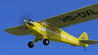 Screenshot 3 — Piper J-3 Cub HB-OXL