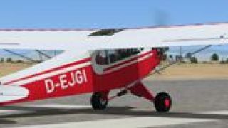 Screenshot 4 — Piper J-3 Cub D-EJGI